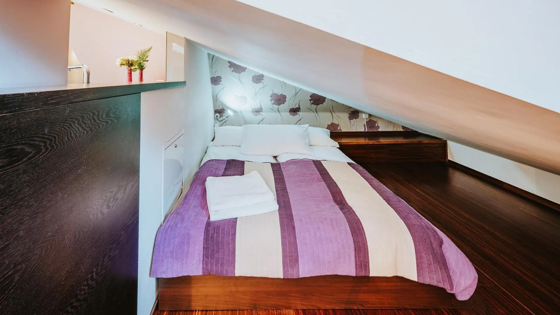 Visitzakopane Apartament Kalina דירה זקופאנה